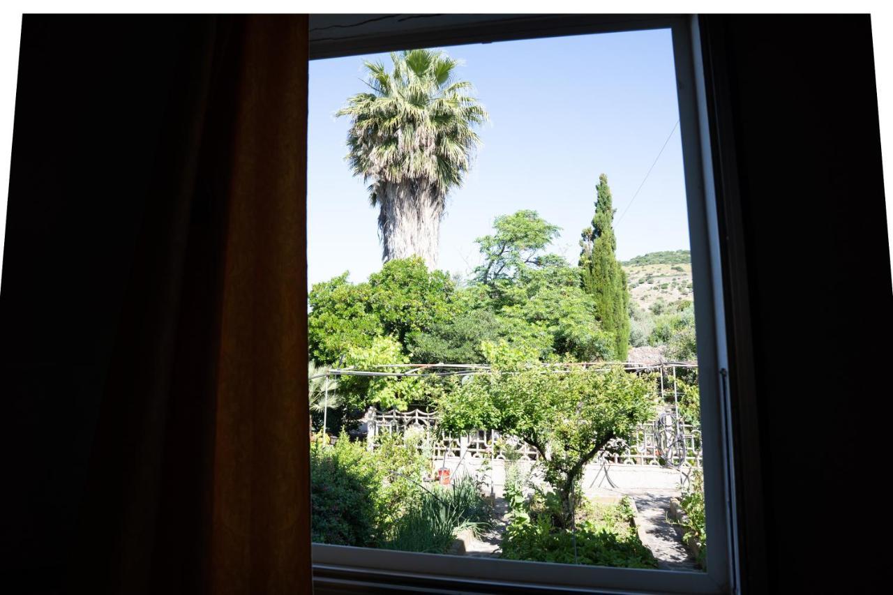 Le Case Nel Vitigno - Modolo Modolo  Dış mekan fotoğraf